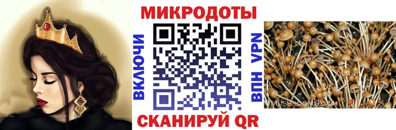 купить наркотики цена  Комсомольск-на-Амуре  Псилоцибиновые грибы GOLDEN TEACHER 