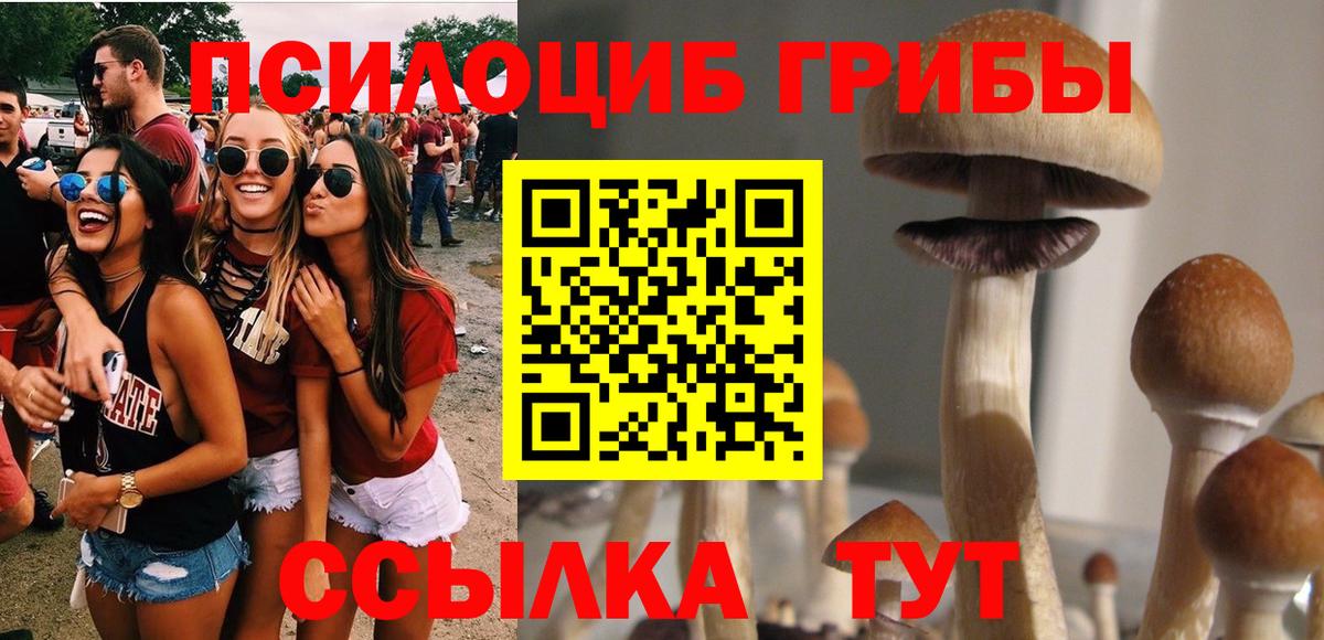 Галлюциногенные грибы мицелий  Псилоцибиновые грибы Magic Shrooms  магазин  наркотиков  Комсомольск-на-Амуре  Вход с VPN 